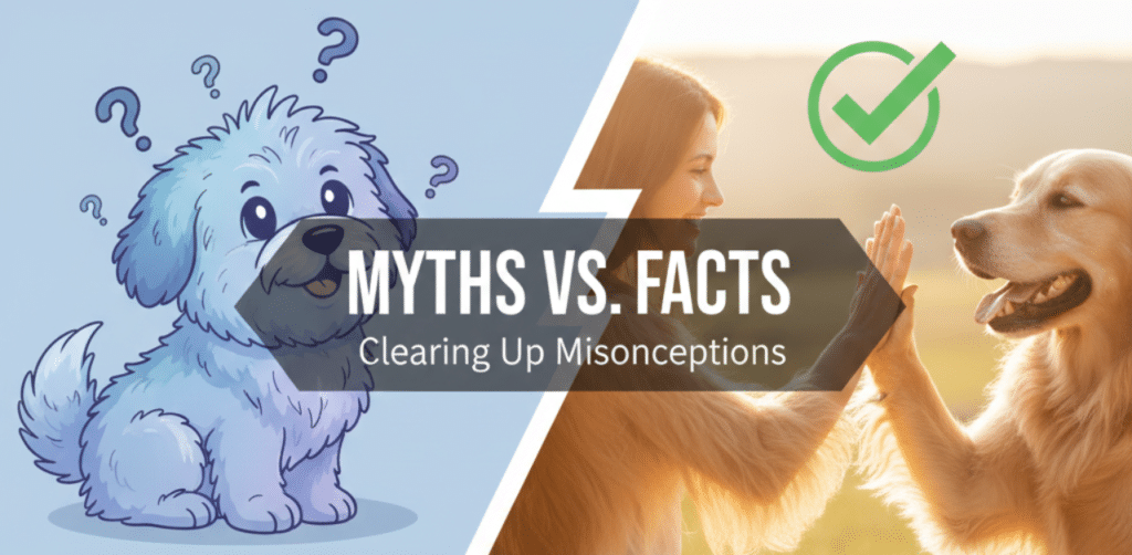 Myths vs. Facts Clearing Up Misconceptions